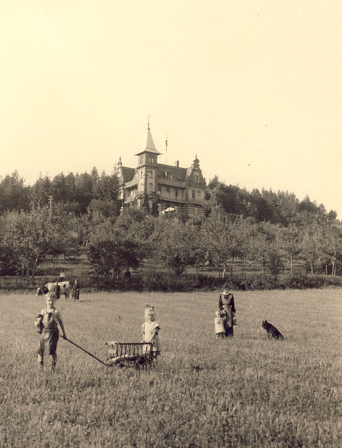 gebäude-01